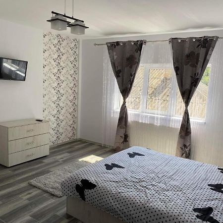 Dana Studio Tulcea Exteriér fotografie