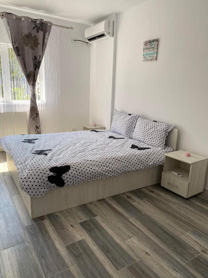 Dana Studio Tulcea Exteriér fotografie