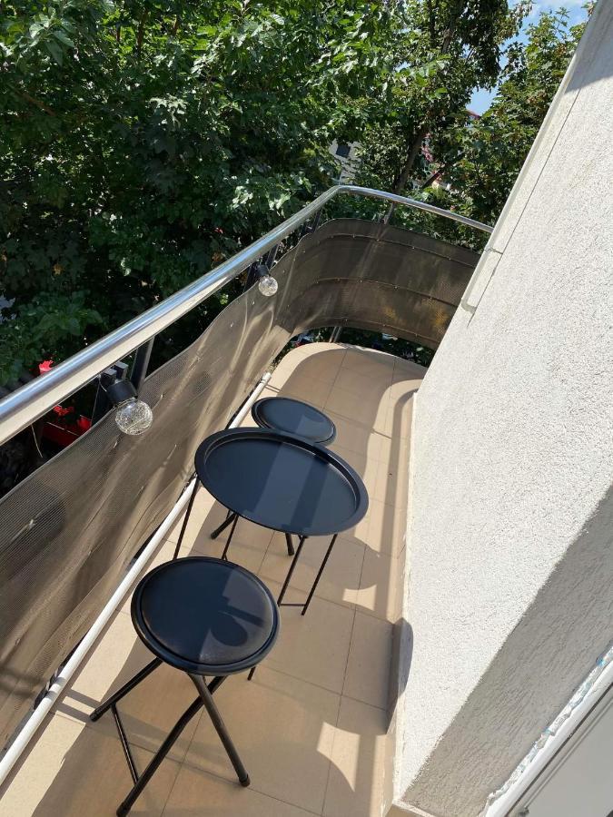 Dana Studio Tulcea Exteriér fotografie