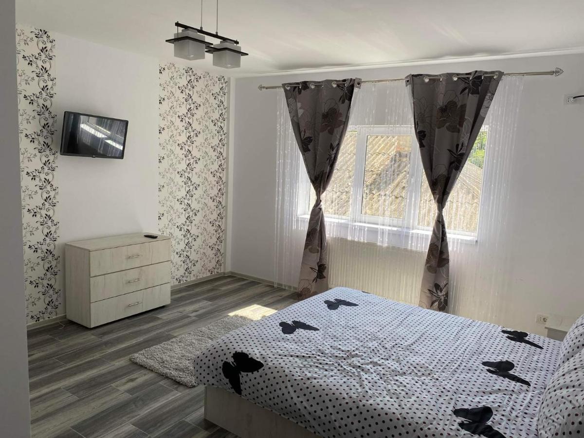 Dana Studio Tulcea Exteriér fotografie