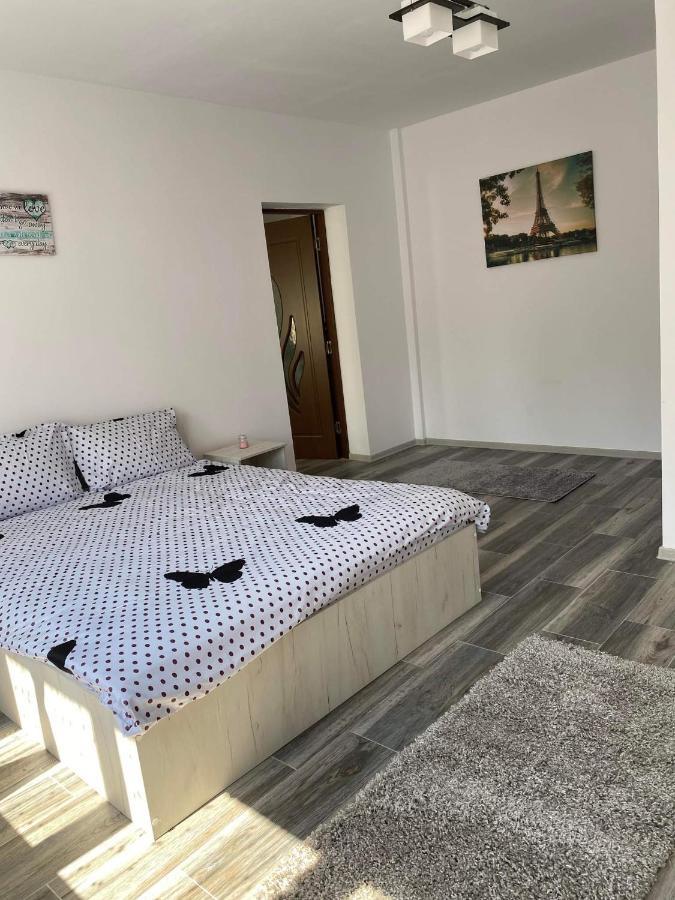 Dana Studio Tulcea Exteriér fotografie