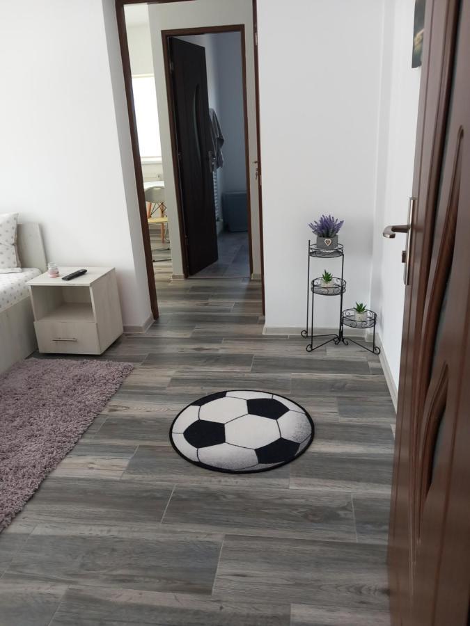 Dana Studio Tulcea Exteriér fotografie
